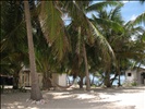 Tobacco Caye